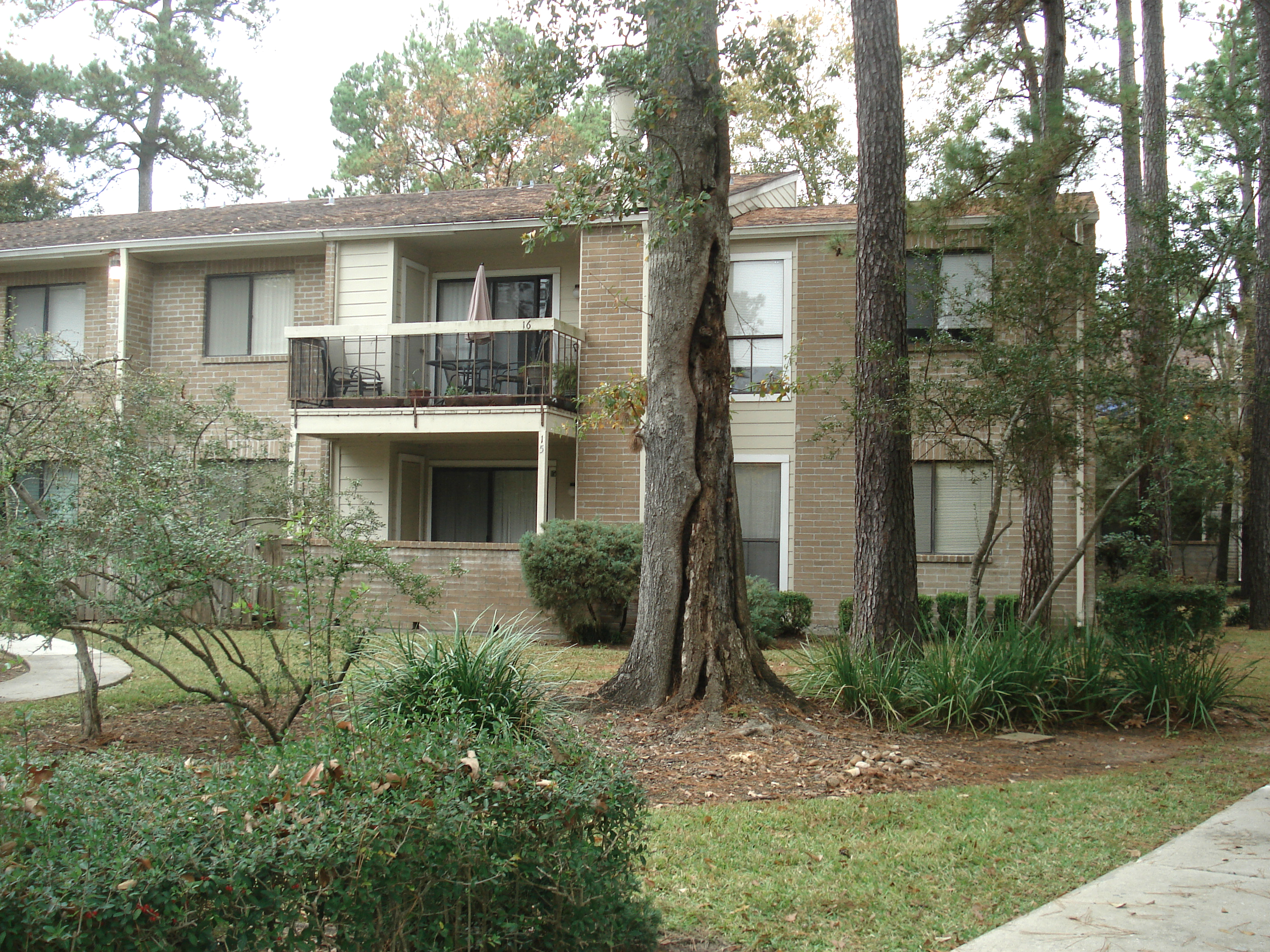 Just Sold in The Woodlands